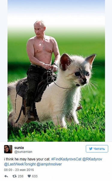 Рамзан Кадыров потерял кота: ведущий HBO организовал поиски, а интернет заполонили мемы