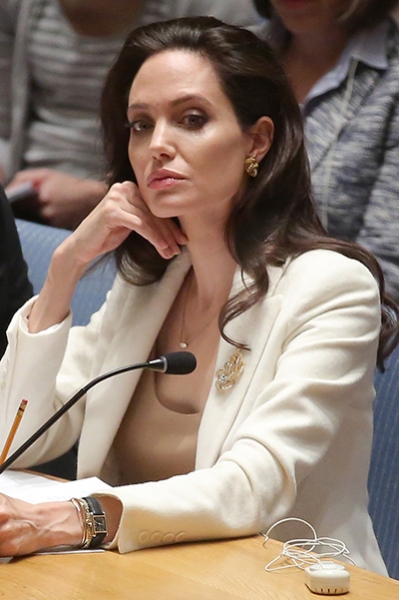 Темы лекций Анджелины Джоли: оружие, права женщин и проблемы окружающей среды