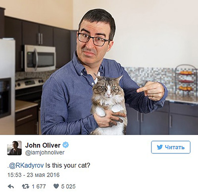 Рамзан Кадыров потерял кота: ведущий HBO организовал поиски, а интернет заполонили мемы