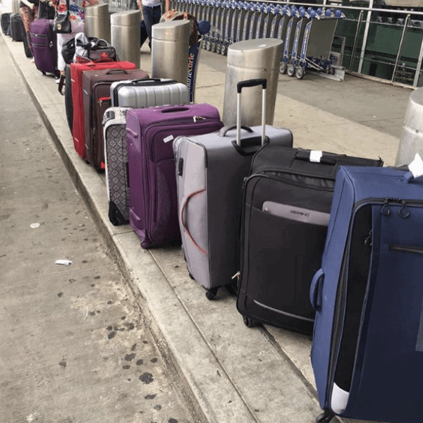 Елена Бушина увозит покупки из Америки в 10 чемоданах
