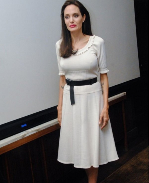 Анджелина Джоли появилась на пресс-конференции без нижнего белья