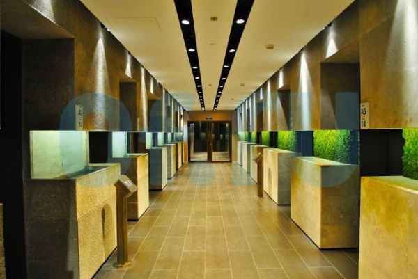 Дизайн лифтовых холлов в башне Федерация «Восток»