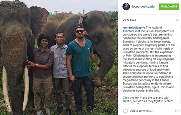Зов джунглей: Леонардо ДиКаприо и Эдриан Броуди побывали на острове Суматра
