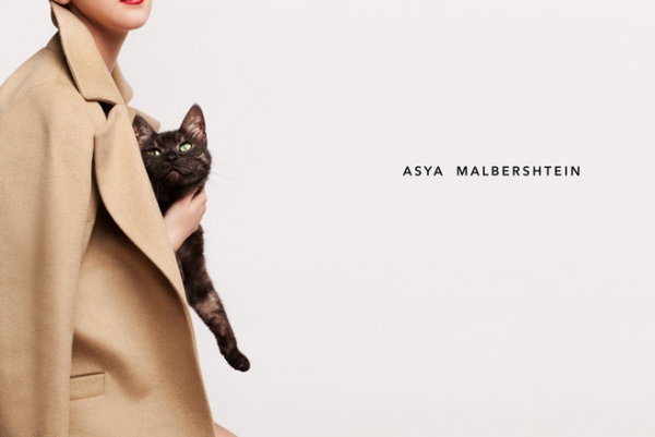 Котики стали звездами рекламы Asya Malbershtein