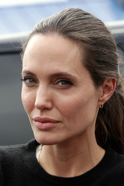 Анджелина Джоли заподозрила Брэда Питта в измене