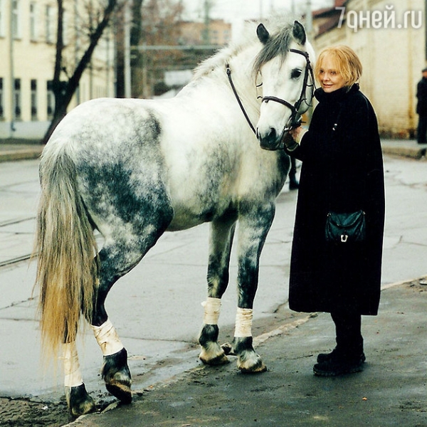 Наталия Белохвостикова заботится о спасенном ею коне