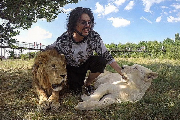 Герой дня: Киркоров спас львенка от гибели 