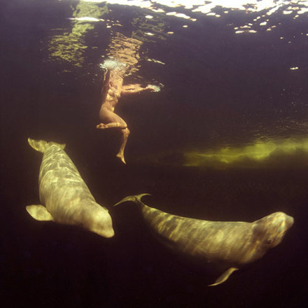 Это стоит увидеть: обнаженная девушка под водой с китами