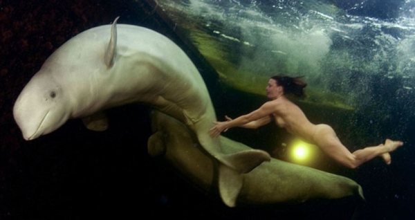 Это стоит увидеть: обнаженная девушка под водой с китами