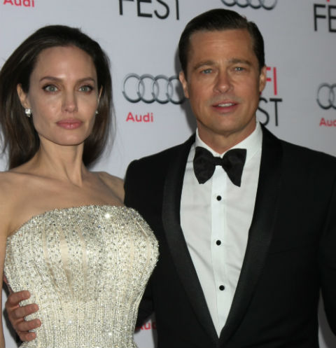 Причиной развода Джоли и Питта называют французскую актрису 
