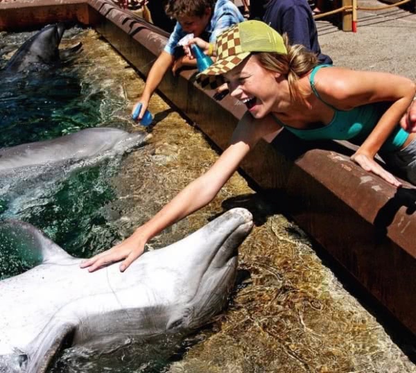 «Капитана Марвел» Бри Ларсон осудили за фото с дельфином 12-летней давности