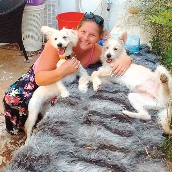 Бездомные собаки из Волгограда начали новую жизнь на Мальте