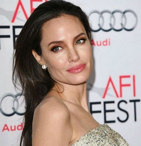 Анджелина Джоли ищет способы примирения с Брэдом Питтом