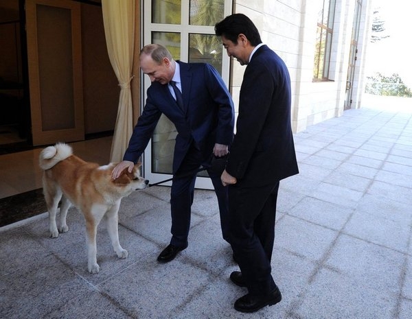 Владимир Путин познакомился с новым питомцем