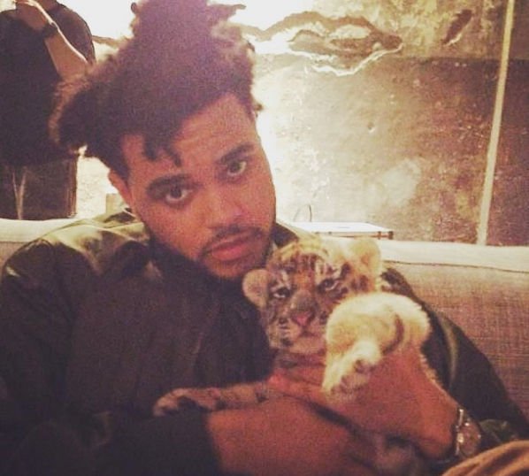 The Weeknd строит отношения с экс-избранницей Джастина Бибера