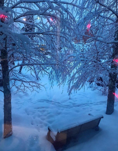 Алферова, Погребняк и Костюшкин радуются сказочной зиме