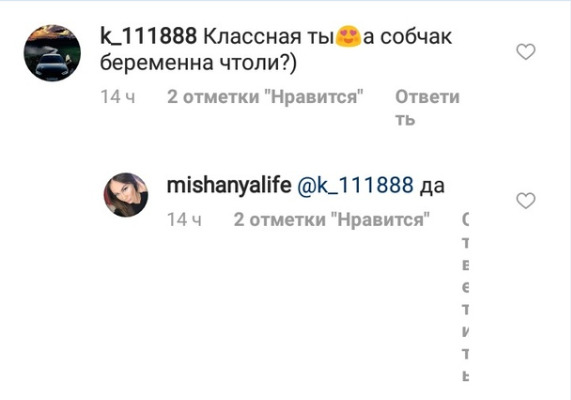 Коллега Ксении Собчак подтвердила ее беременность