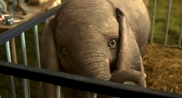 «Дамбо» лидирует: фильм об удивительном слонёнке взлетел на первое место в прокате