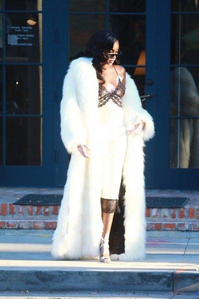 Model Winnie Harlow posed in the middle of the street in a fur coat and lingerie