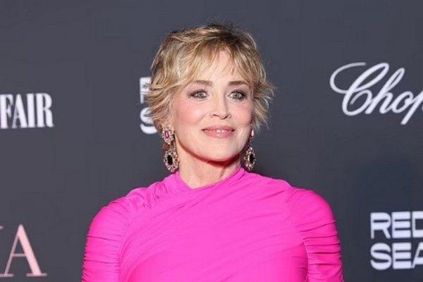 Sharon Stone confesses how Basic Instinct influenced her life and what legacy she left to her children
