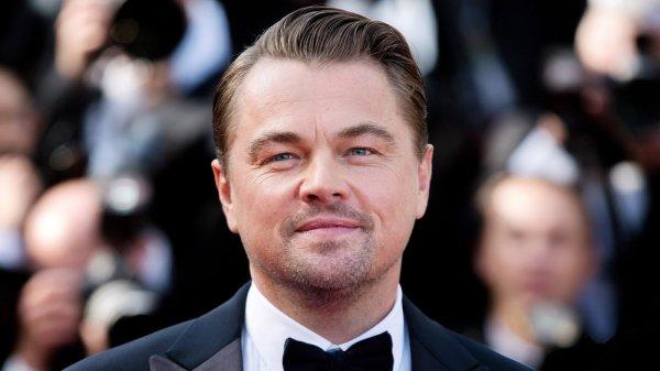 Leonardo DiCaprio got into the lenses of photographers with a new passion