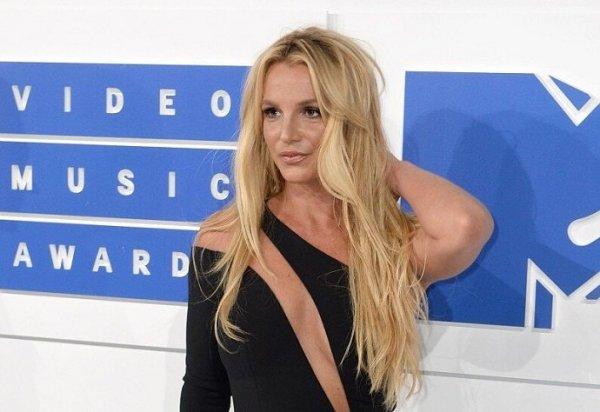 She showed her teeth. Britney Spears' dog attacked an elderly man